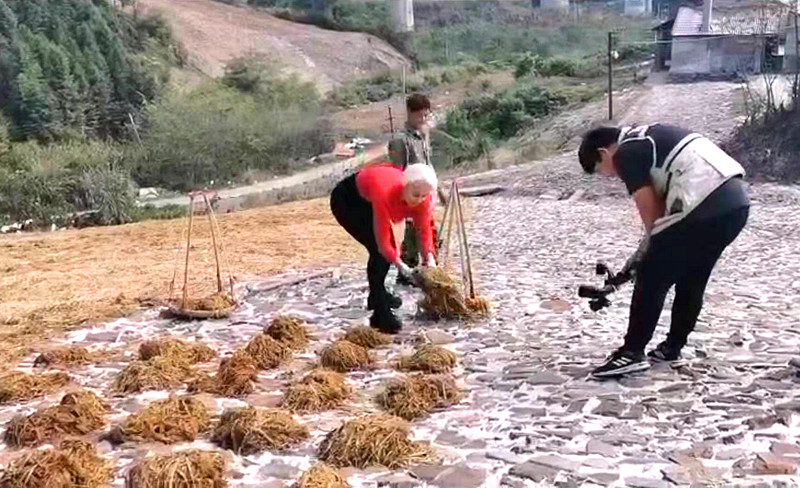 中亚女孩米拉在泾体验利来国际最老品牌网宣笔文化